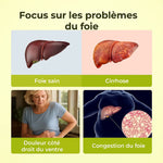 Load image into Gallery viewer, Capsules détoxifiantes au chardon marie - Soutien et nettoyage du foie
