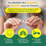 Load image into Gallery viewer, Mullein Gummies -complément alimentaire à base de plantes
