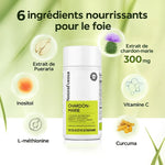 Load image into Gallery viewer, Capsules détoxifiantes au chardon marie - Soutien et nettoyage du foie
